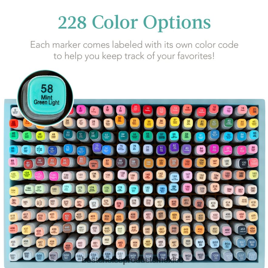 accesorio kit de rotulador a base de alcohol con pincel y punta de cincel, estuche de transporte Best Choice Products azul X080FZ1065