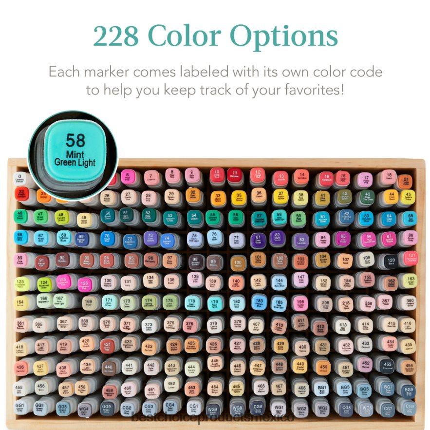 accesorio kit de rotulador a base de alcohol con pincel y punta de cincel, estuche de transporte Best Choice Products natural X080FZ1063